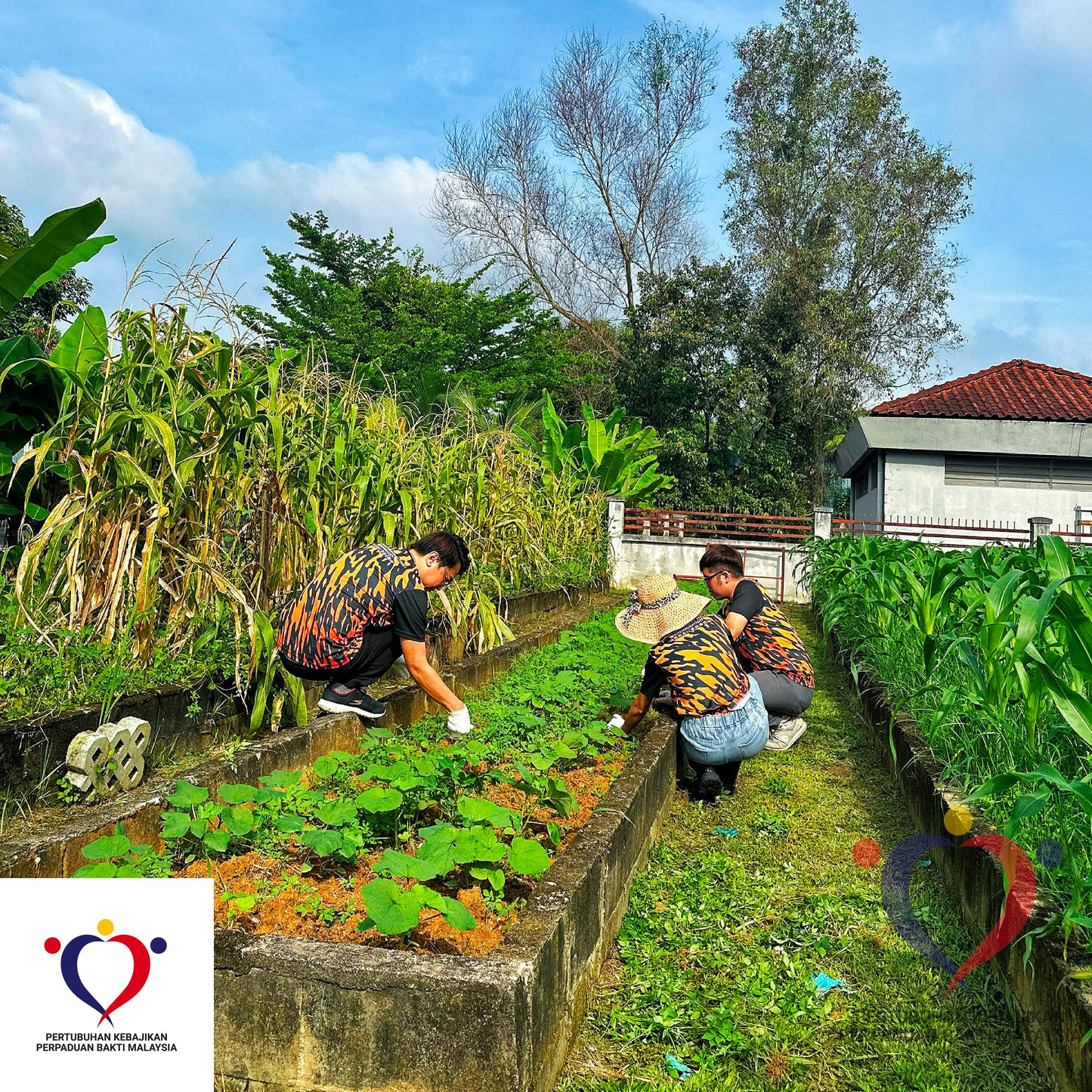 物资援助 2025/05-01