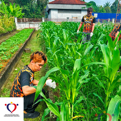 物资援助 2025/05-01